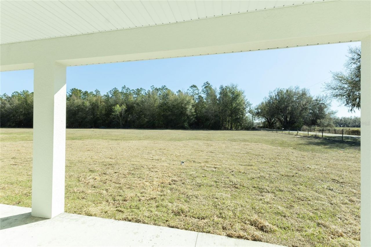 10745 Philips Landing Court, Webster, FL 33597 Photo