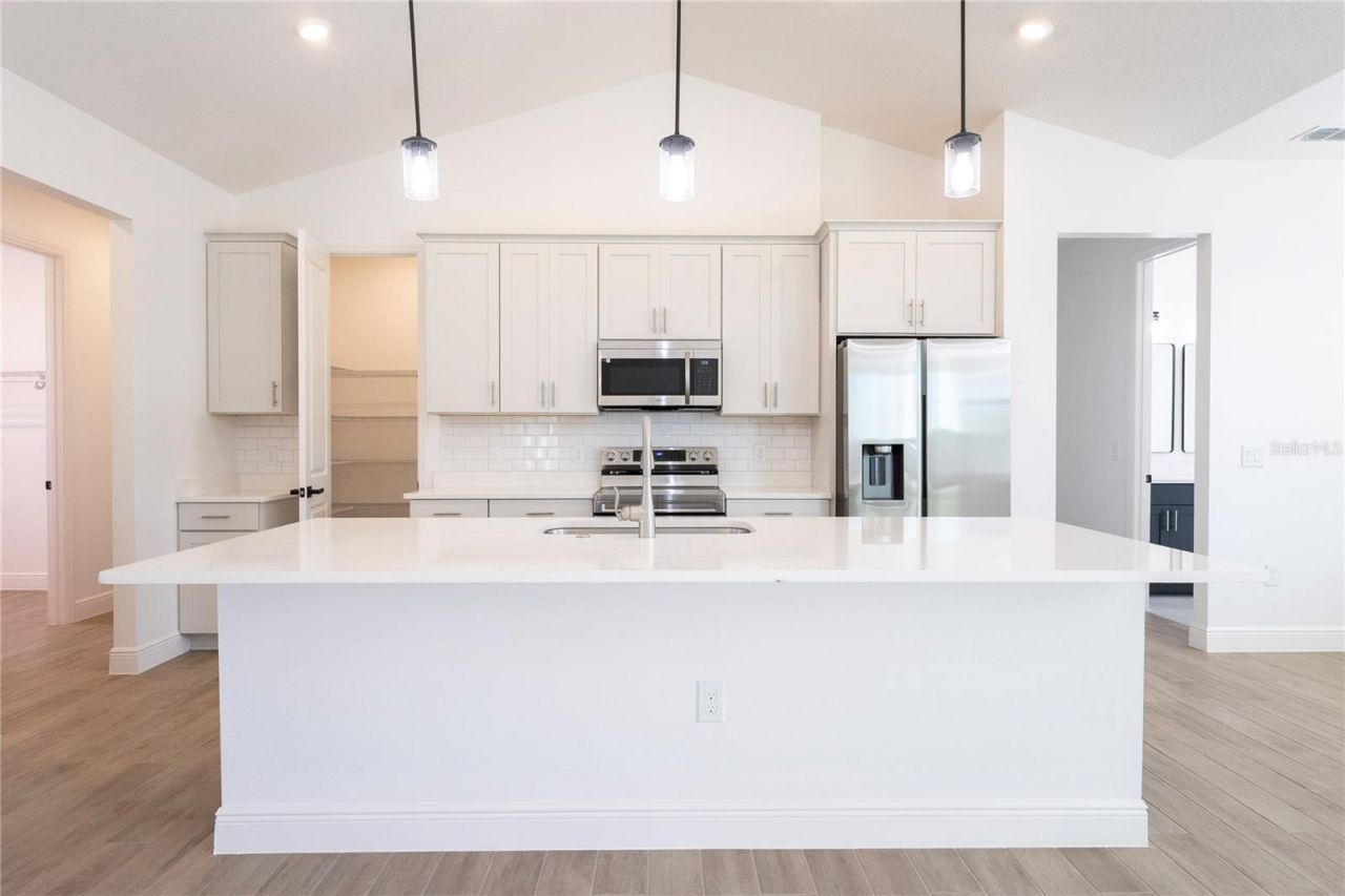 10745 Philips Landing Court, Webster, FL 33597 Photo