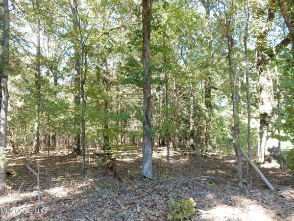 Lot 3 N Crockett Road, Senatobia, MS 38668