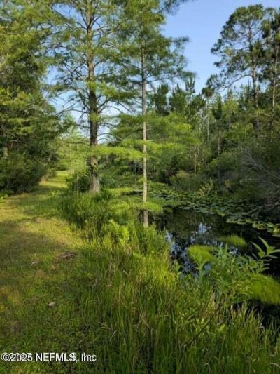 21426 NE 51st Avenue, Earlton, FL 32631 Photo