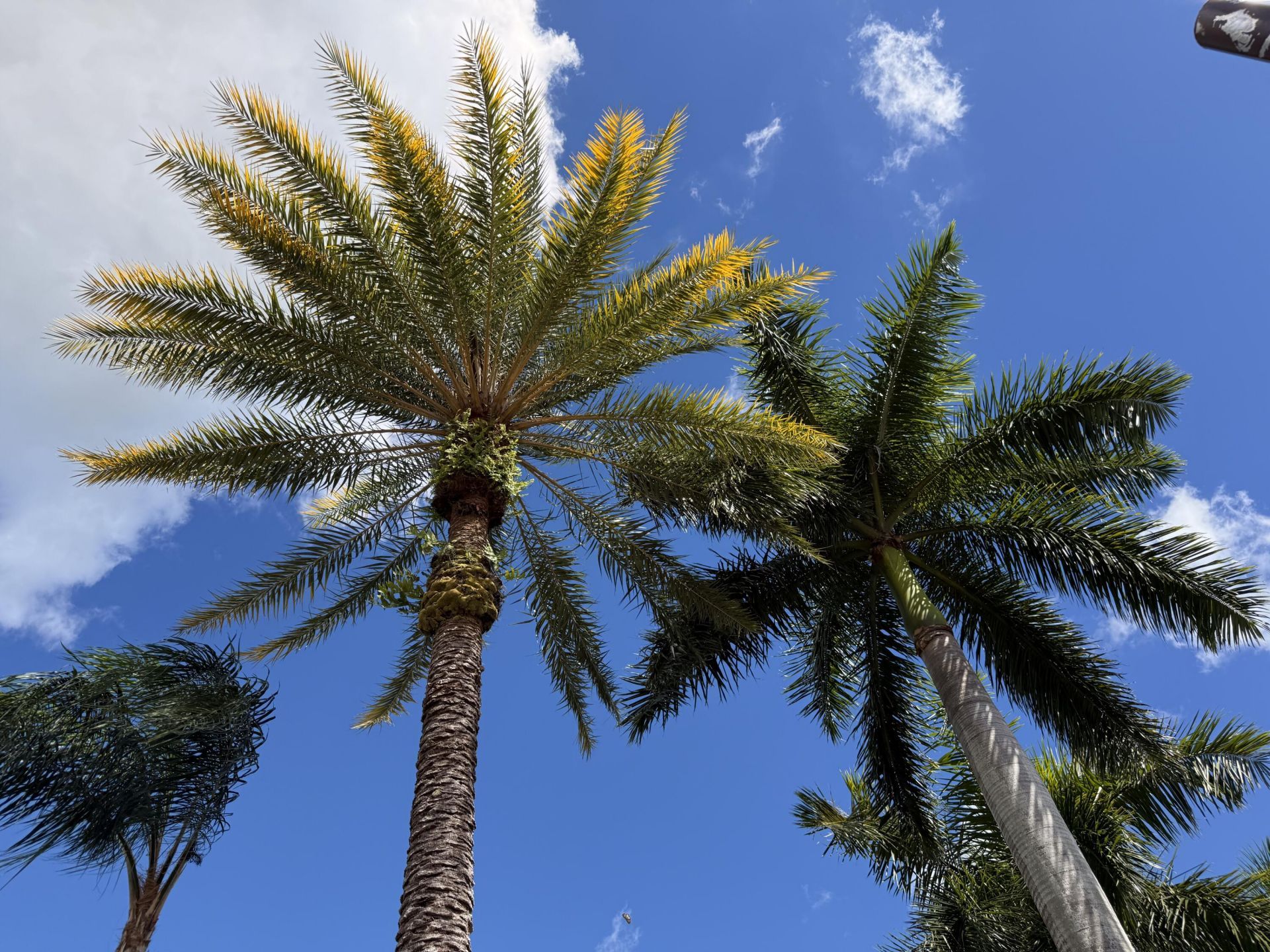 633 NW Whitfield Way, Port Saint Lucie, FL 34986 Photo