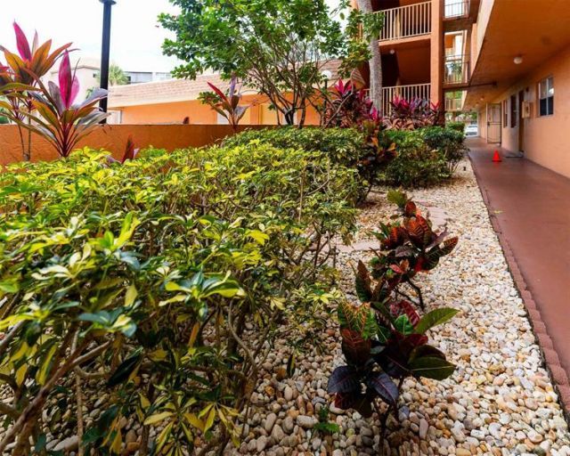 3110 N Pine Island Road, Unit 304, Sunrise, FL 33351 Photo