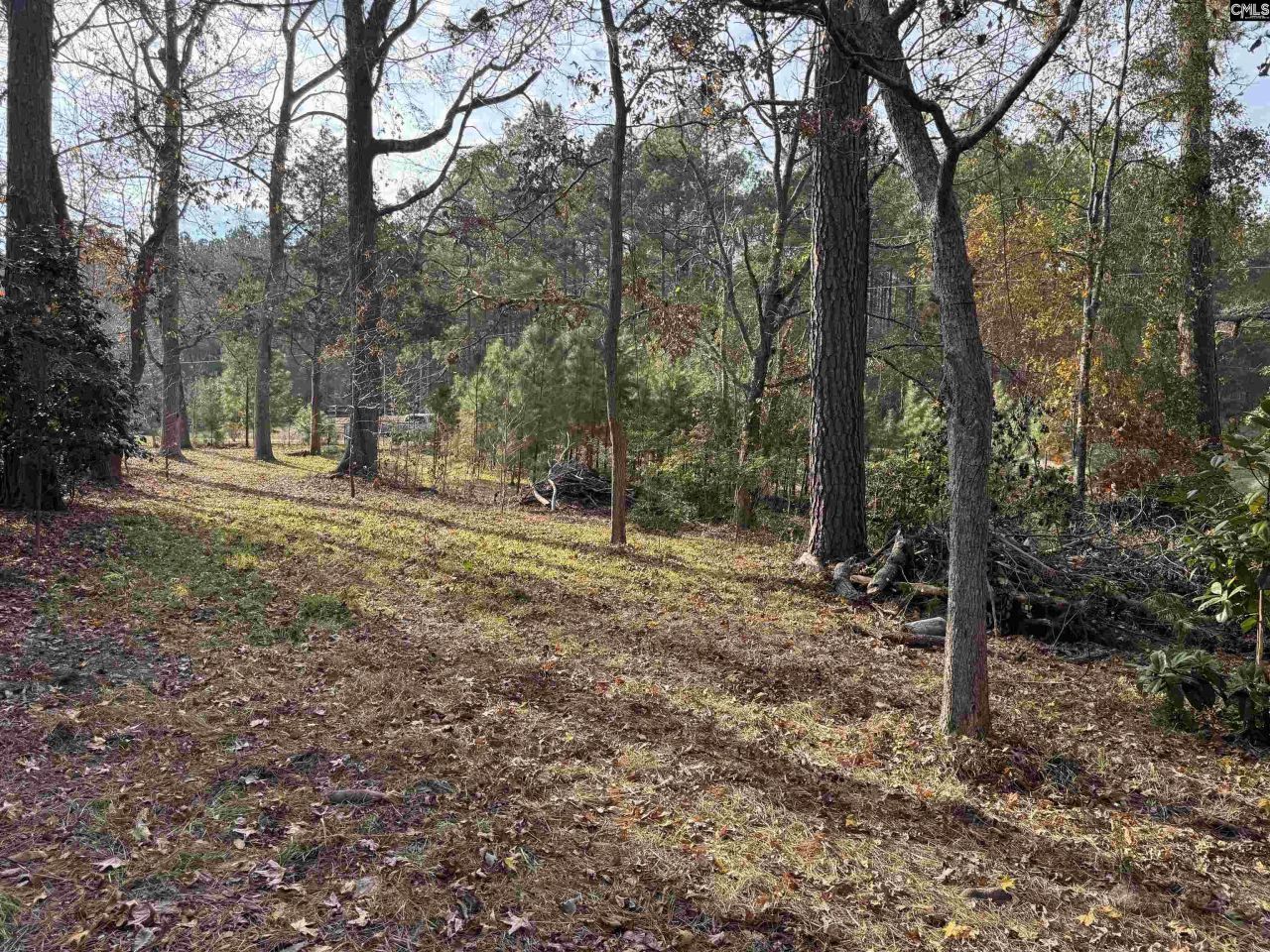 1403 Westshore  Photo 15