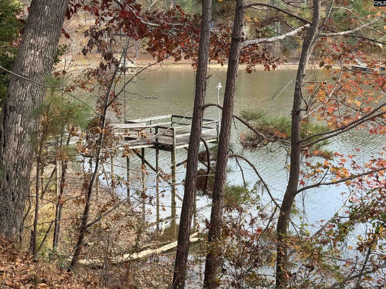 1403 Westshore  Photo 16