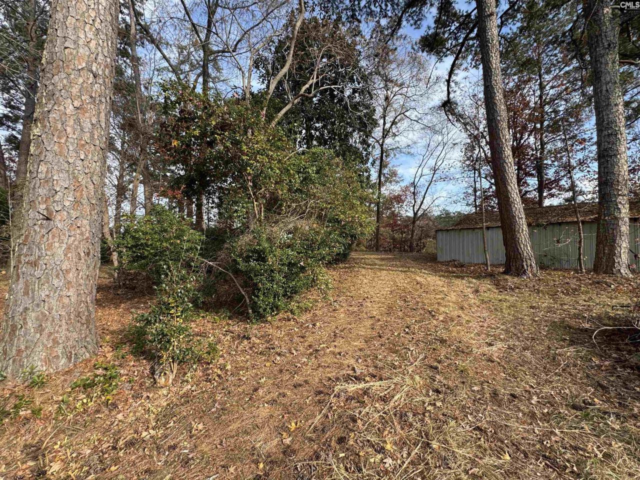 1403 Westshore  Photo 19