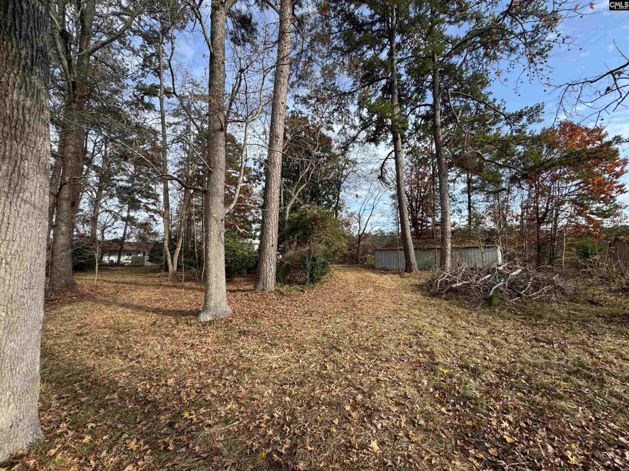 1403 Westshore  Photo 22