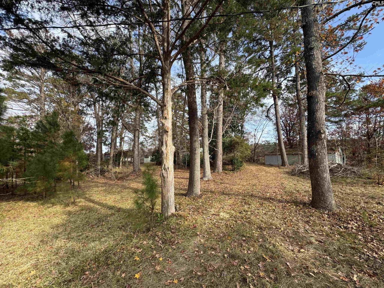 1403 Westshore  Photo 23