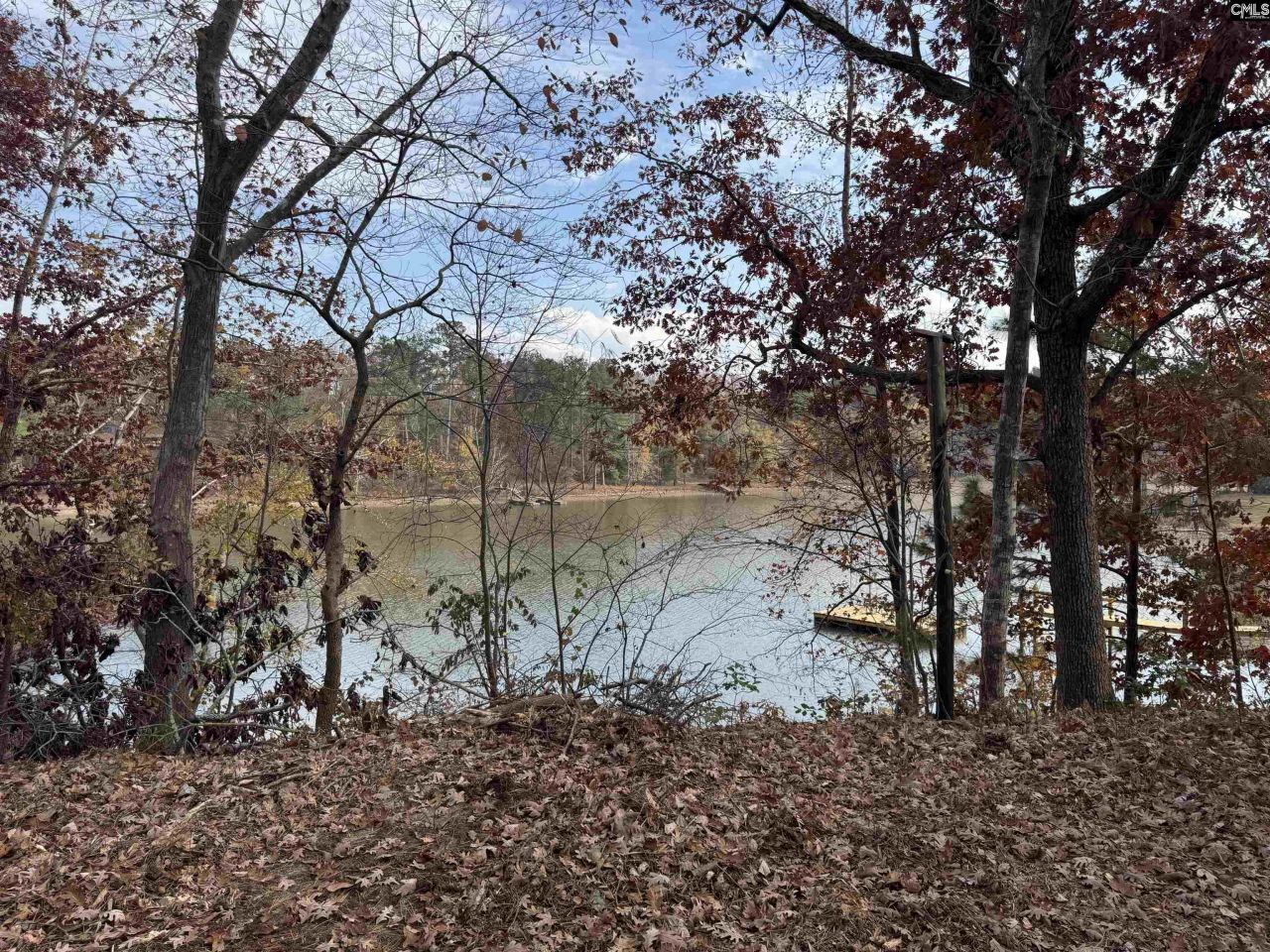 1403 Westshore  Photo 6