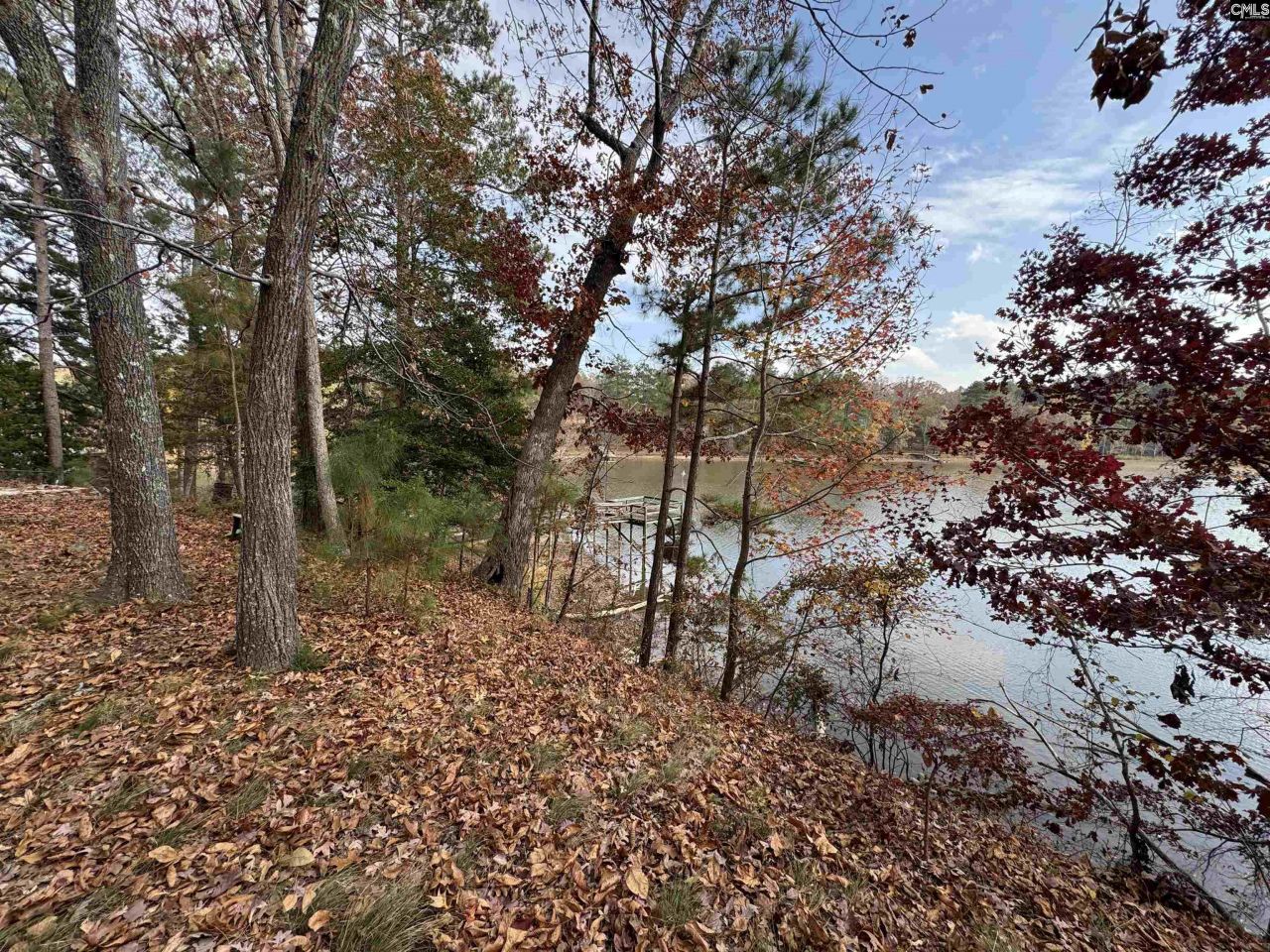 1403 Westshore  Photo 7