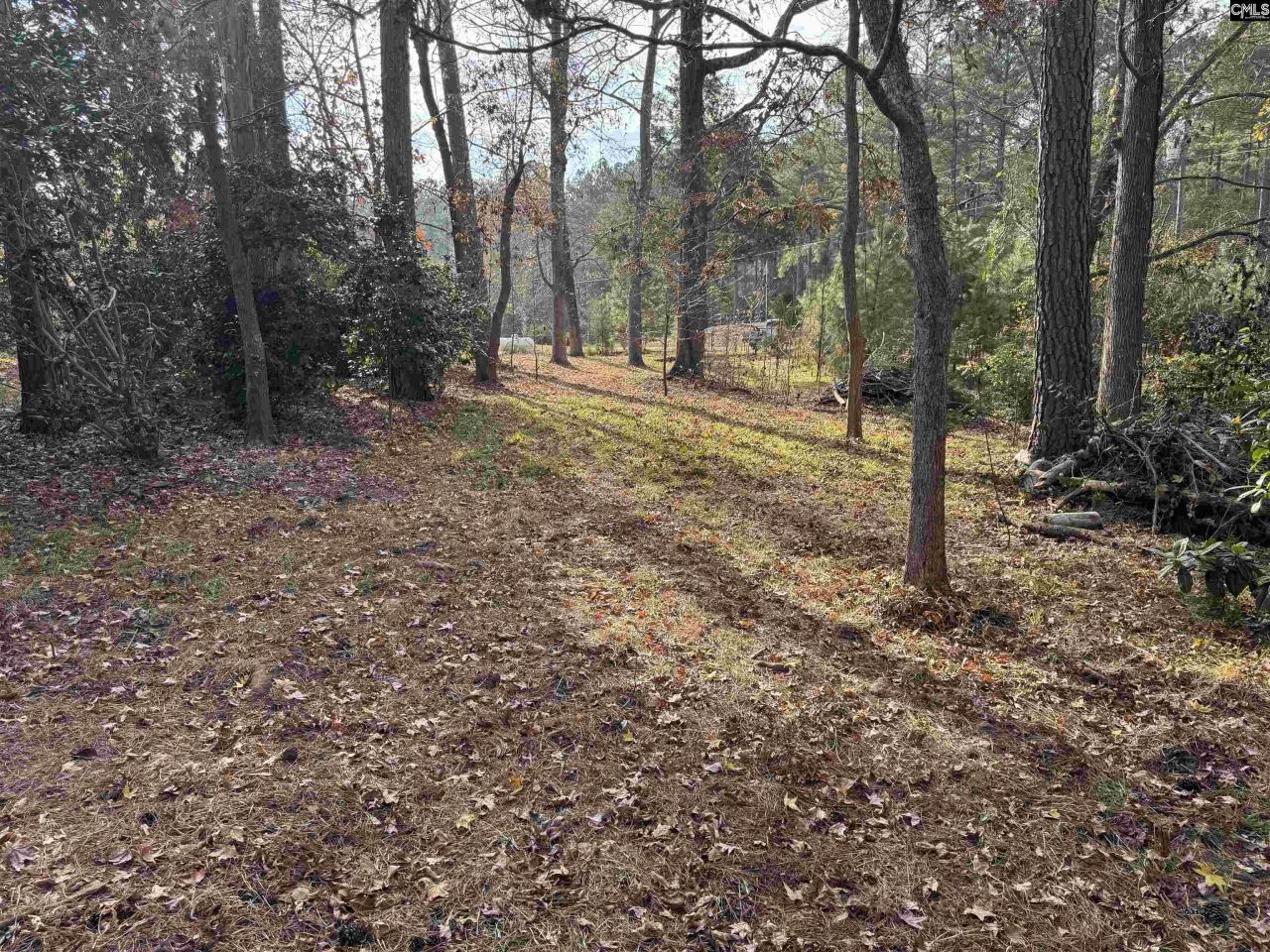 1403 Westshore  Photo 9