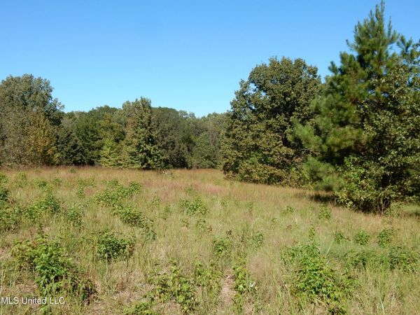 Lot 7 N Crockett Road, Senatobia, MS 38668