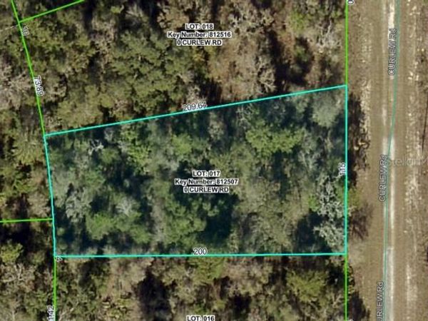 CURLEW ROAD, BROOKSVILLE, FL 34614