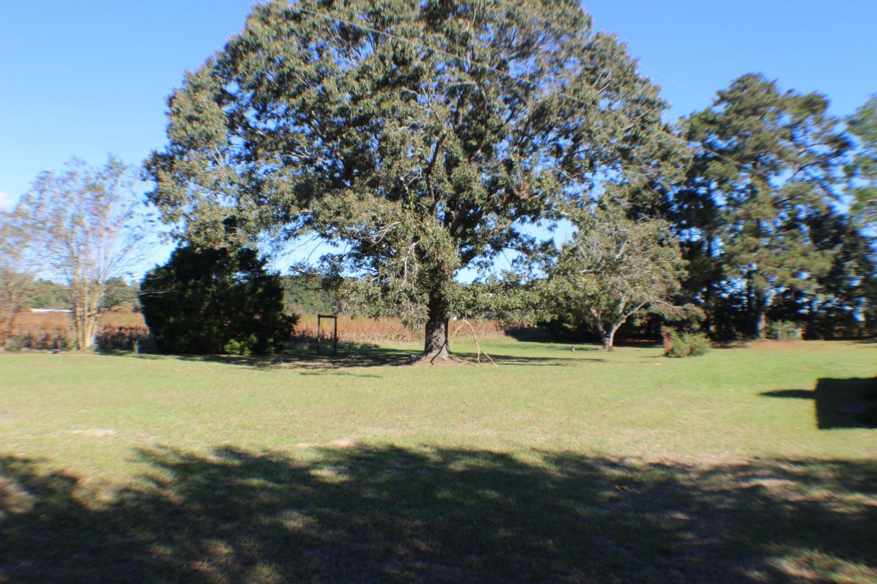 756 Santee River Road Photo 14