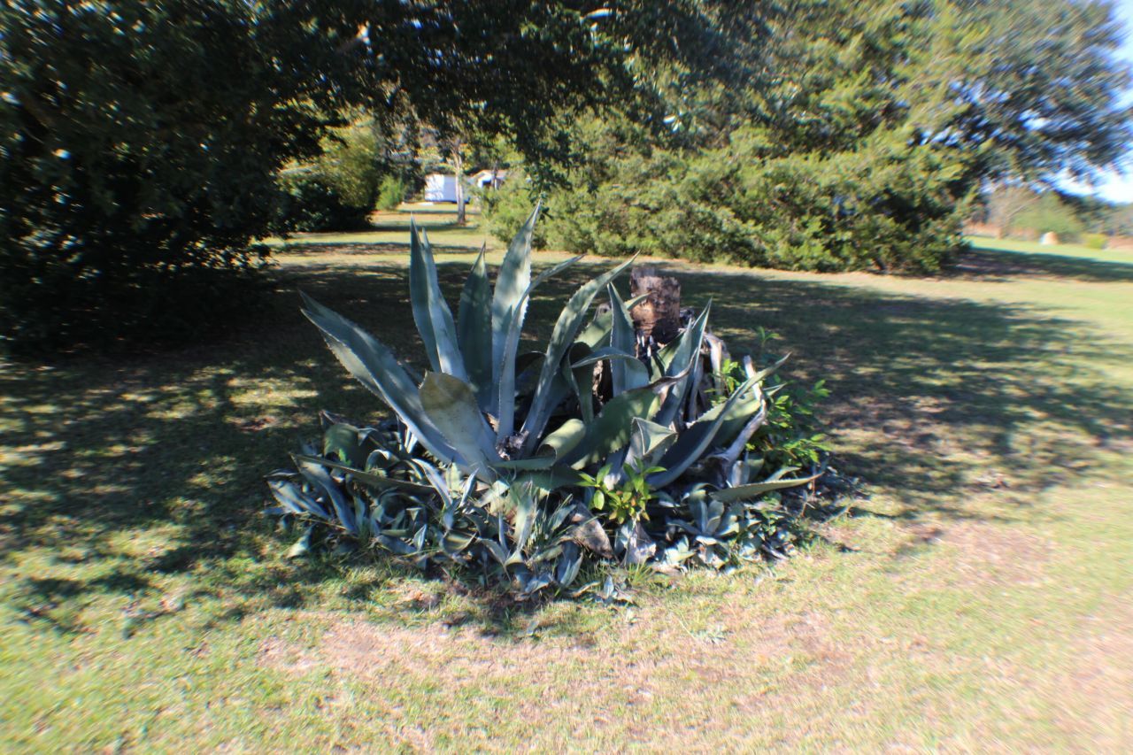 756 Santee River Road Photo 47