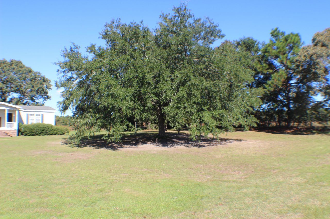 756 Santee River Road Photo 9