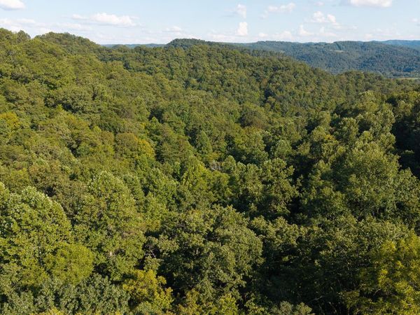 32.38 AC Off Panther Creek Rd, Sneedville, TN 37869