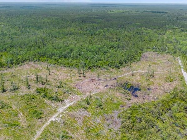 W US Hwy 27, Mayo, FL 32066