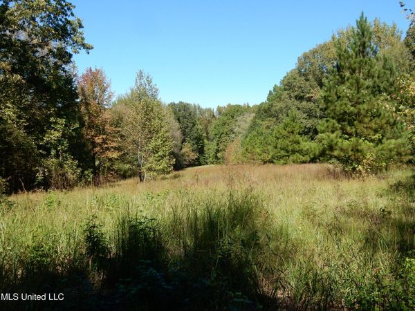 Lot 8 N Crockett Road, Senatobia, MS 38668