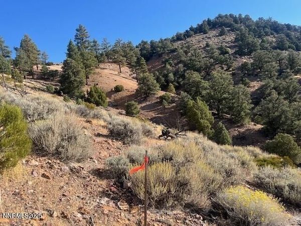 0 Buckeye, off of Road, Virginia City, NV 89440