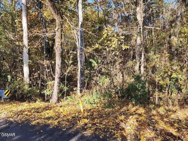 703 Briggs Rd Road, Dandridge, TN 37725