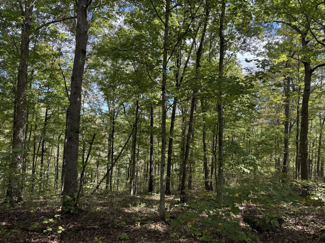 Lot 84,85,86 Sandstone Point Trail, Monticello, KY 42633 Main Photo