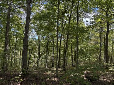 Lot 84,85,86 Sandstone Point Trail, Monticello, KY 42633