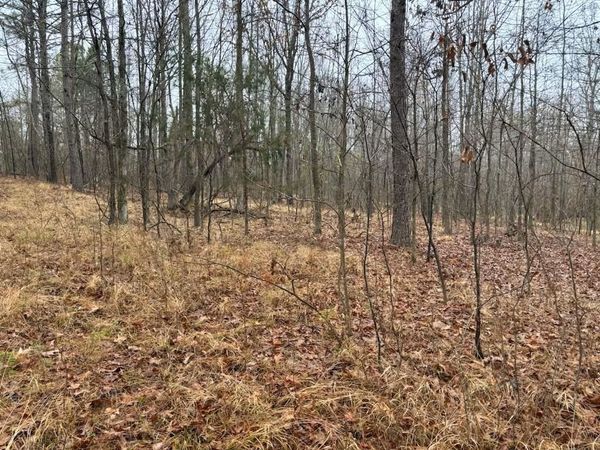 0 HIGHWAY 193 HWY, Eads, TN 38028