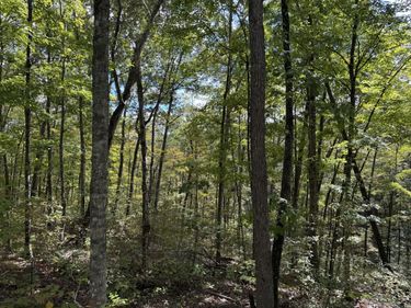 Lot 87,88,89 Sandstone Point Trail, Monticello, KY 42633