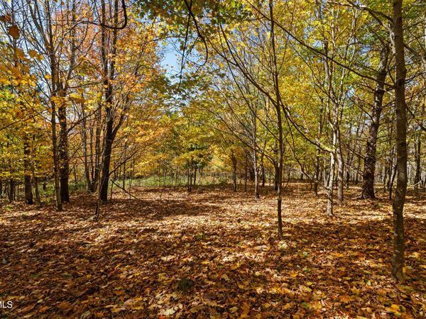 Tbd Modock Northeast Road, Trade, TN 37691