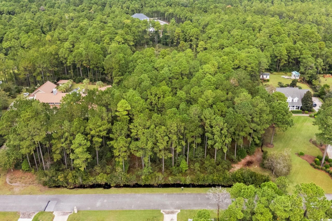 3037 Holly Berry Ct. Photo 10