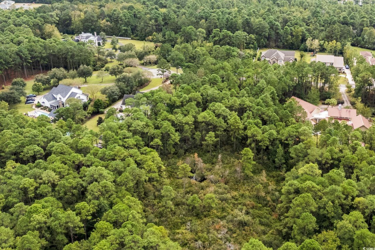 3037 Holly Berry Ct. Photo 12