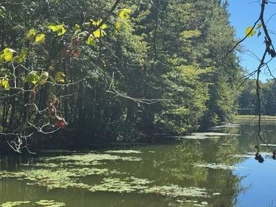 0 Poplar Creek Drive, Elloree, SC 29047