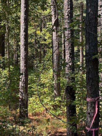 0 Poplar Creek Drive Photo 10