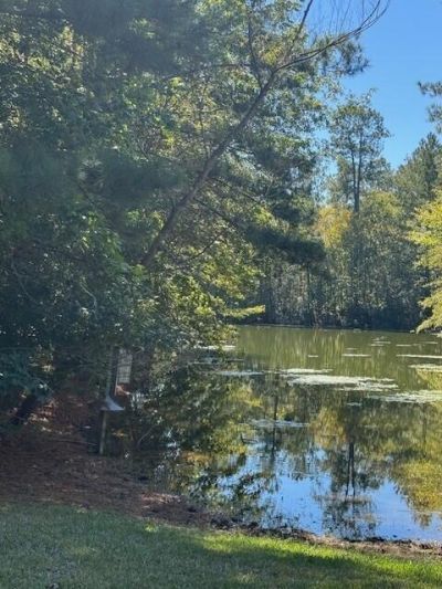 0 Poplar Creek Drive Photo 11