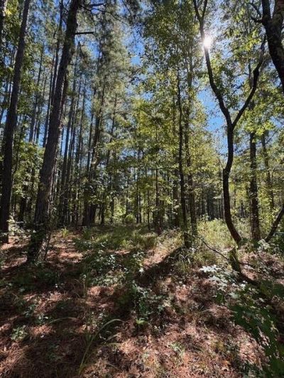 0 Poplar Creek Drive Photo 4