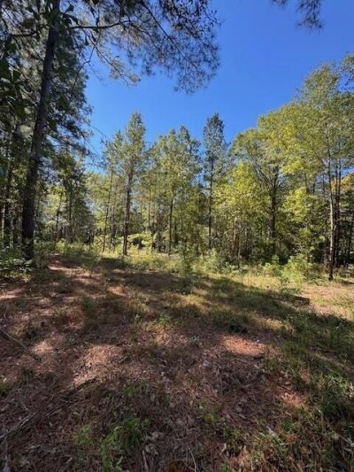 0 Poplar Creek Drive Photo 5