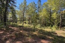 0 Poplar Creek Drive photo 4