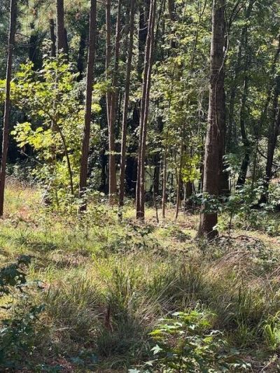 0 Poplar Creek Drive Photo 6