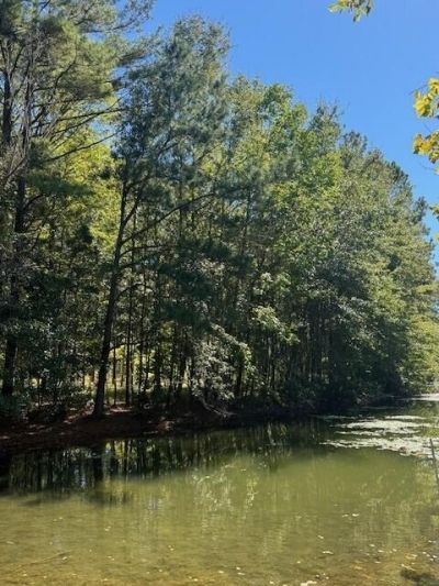 0 Poplar Creek Drive Photo 7