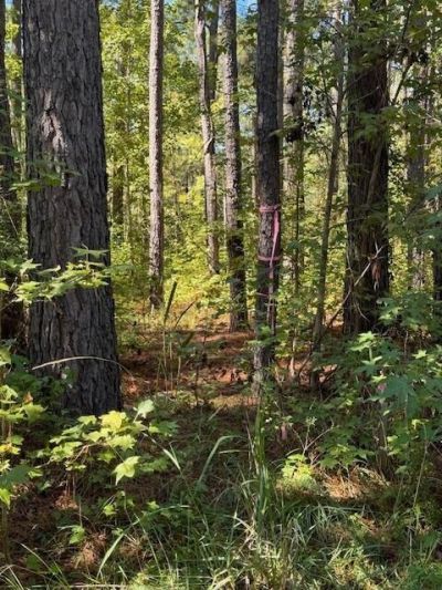 0 Poplar Creek Drive Photo 9