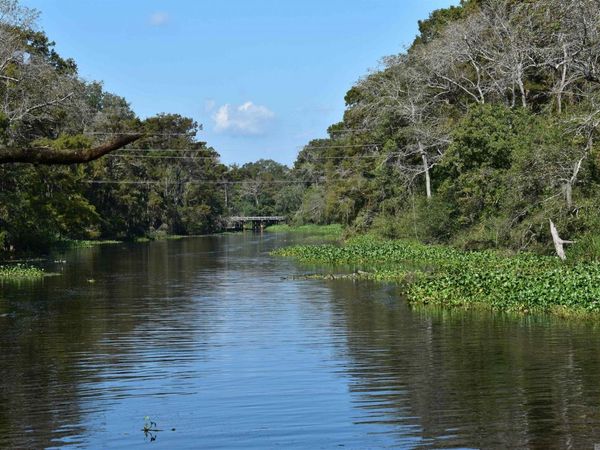 17206 La Hwy 431, Prairieville, LA 70769