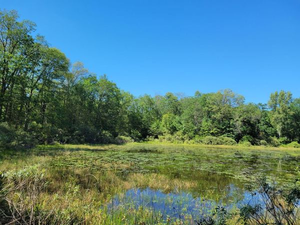 Lots 1-9 Cranberry Street, Wellston, MI 49689