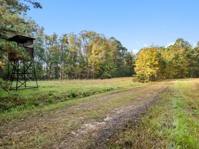 527 Acres Spring Grove Road, Adams Run, SC 29426