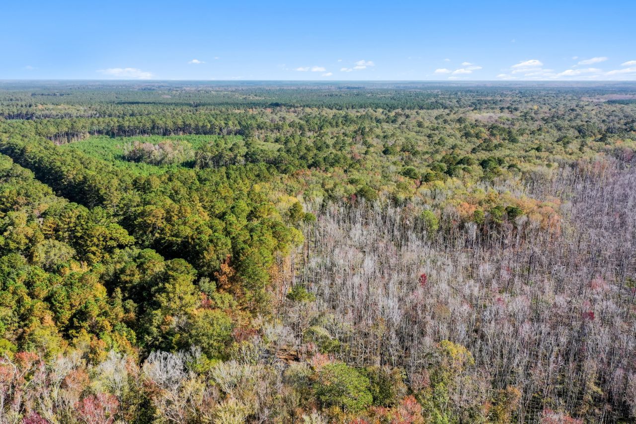 527 Acres Spring Grove Road Photo 12