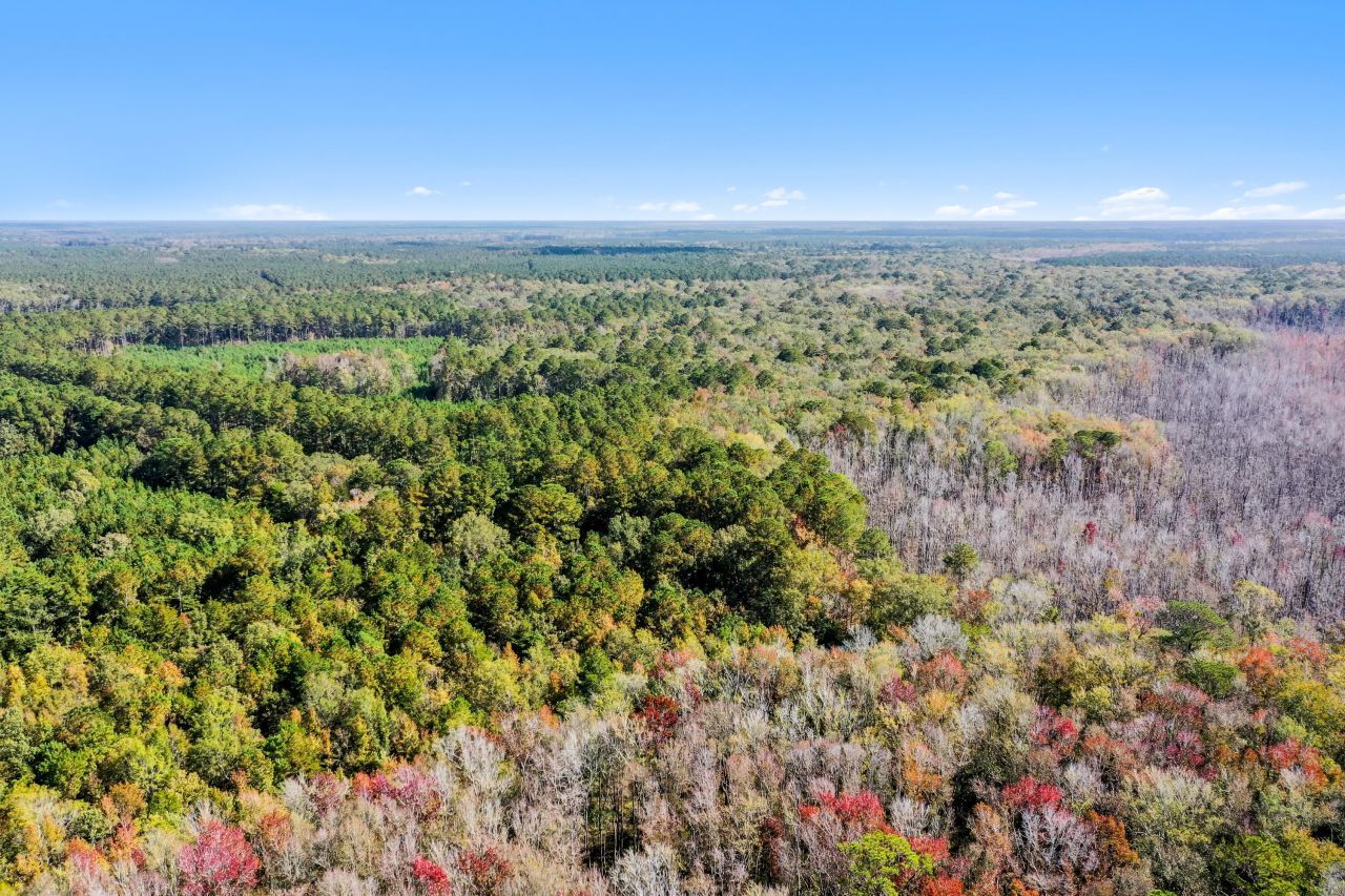 527 Acres Spring Grove Road Photo 15