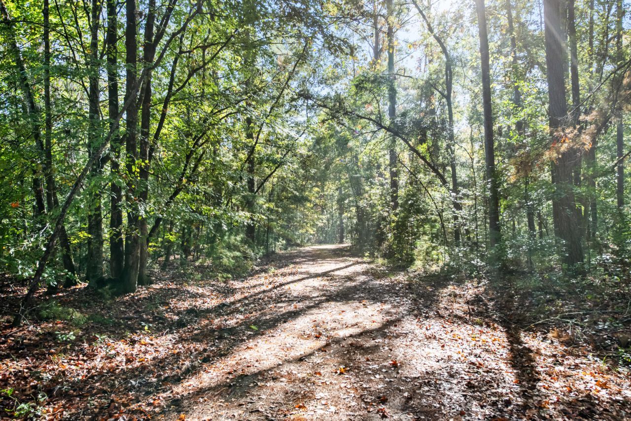 527 Acres Spring Grove Road Photo 16