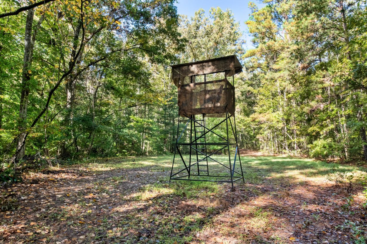 527 Acres Spring Grove Road Photo 21