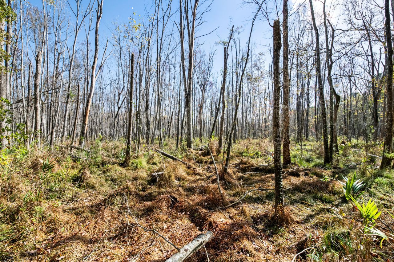 527 Acres Spring Grove Road Photo 25