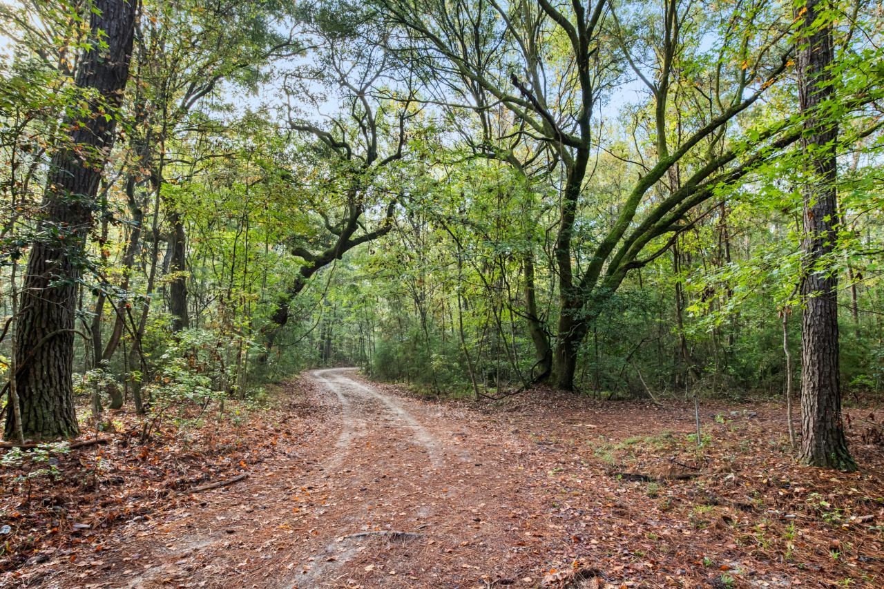 527 Acres Spring Grove Road Photo 30