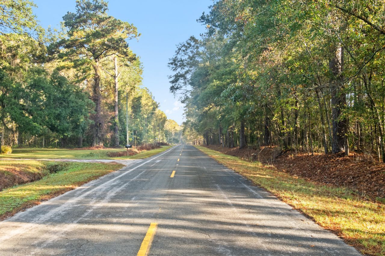 527 Acres Spring Grove Road Photo 39